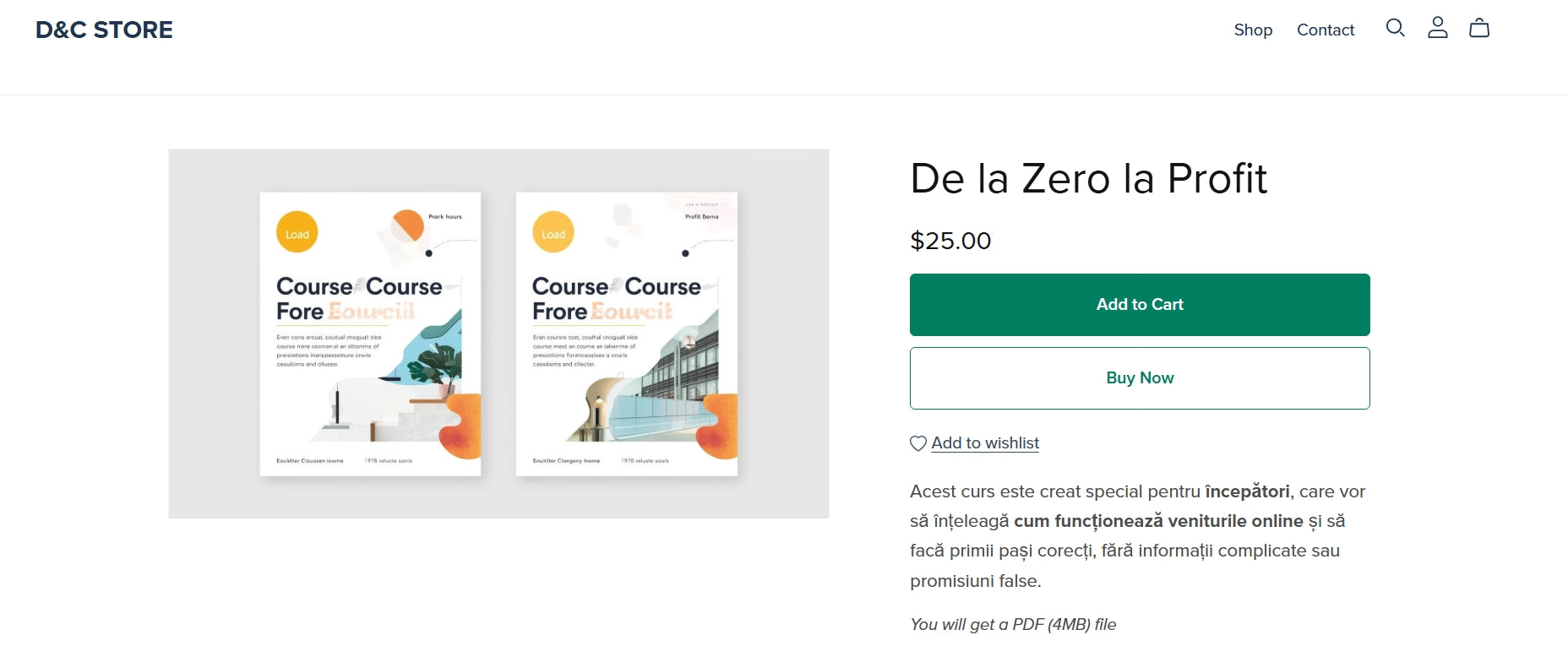 De la Zero la Profit - Curs Complet Business Online (PDF)